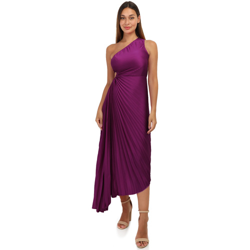 vaatteet Naiset Pitkä mekko La Modeuse 67115_P156034 Violetti