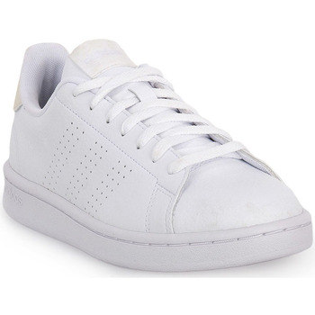 kengät Naiset Tennarit adidas Originals ADVANTAGE Valkoinen