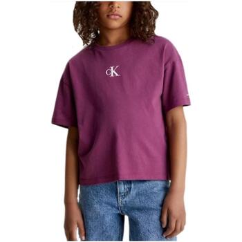 vaatteet Tytöt Lyhythihainen t-paita Calvin Klein Jeans  Violetti