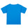 vaatteet Pojat Lyhythihainen t-paita Puma TEAMRISE MATCH DAY Sininen