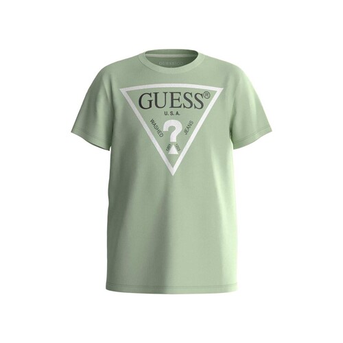 vaatteet Pojat Lyhythihainen t-paita Guess SHIRT CORE Vihreä