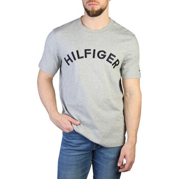 vaatteet Miehet Lyhythihainen t-paita Tommy Hilfiger - mw0mw30055 Harmaa