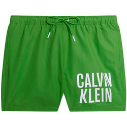 vaatteet Miehet Shortsit / Bermuda-shortsit Calvin Klein Jeans km0km00794-lxk green Vihreä