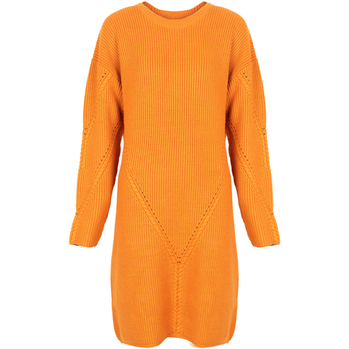 vaatteet Naiset Lyhyt mekko Silvian Heach PGA22285VE Oranssi