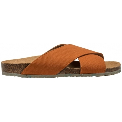 kengät Naiset Sandaalit ja avokkaat Zouri Sun - Terracota Oranssi