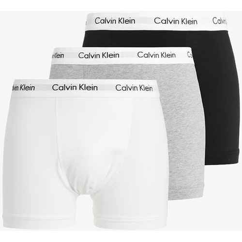 Alusvaatteet Miehet Bokserit Calvin Klein Jeans  Harmaa