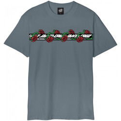 vaatteet Miehet T-paidat & Poolot Santa Cruz Dressen roses ever-slick Harmaa