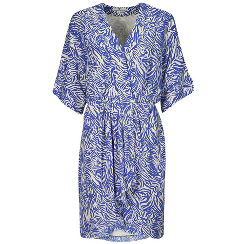 vaatteet Naiset Pitkä mekko Freeman T.Porter ROZA ZEBRURE Sininen