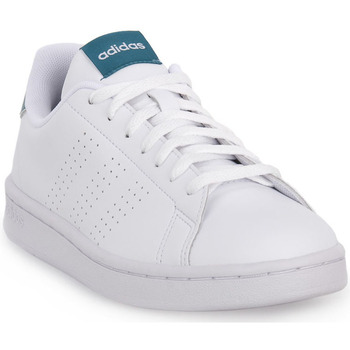 kengät Naiset Tennarit adidas Originals ADVANTAGE Valkoinen