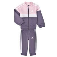 vaatteet Tytöt Verryttelypuvut Adidas Sportswear I TIBERIO TS Violetti / Vaaleanpunainen