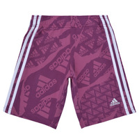 vaatteet Tytöt Shortsit / Bermuda-shortsit Adidas Sportswear LK CAMLOG FT SH Violetti