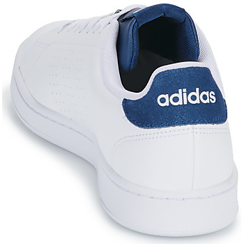 Adidas Sportswear ADVANTAGE Valkoinen / Sininen