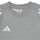 vaatteet Lapset Lyhythihainen t-paita adidas Performance TIRO24 SWTEEY Harmaa / Valkoinen