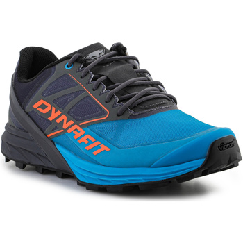 kengät Miehet Juoksukengät / Trail-kengät Dynafit Alpine 64064-0752 Magnet/Frost Monivärinen