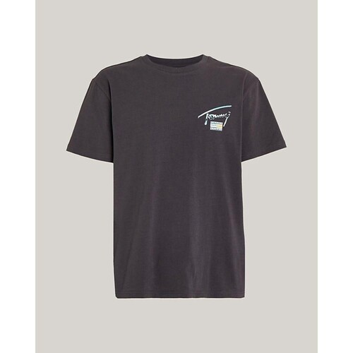 vaatteet Miehet Lyhythihainen t-paita Tommy Hilfiger DM0DM18283 Sininen