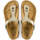 kengät Naiset Sandaalit ja avokkaat Birkenstock Gizeh BS Kulta