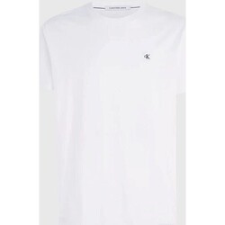 vaatteet Miehet Lyhythihainen t-paita Calvin Klein Jeans J30J325268YAF Valkoinen