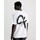 vaatteet Miehet Lyhythihainen t-paita Calvin Klein Jeans J30J324652YAF Valkoinen