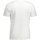 vaatteet Miehet Lyhythihainen t-paita Timberland TB0A2BRN Valkoinen