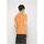 vaatteet Miehet Lyhythihainen t-paita Calvin Klein Jeans J30J320806 Oranssi