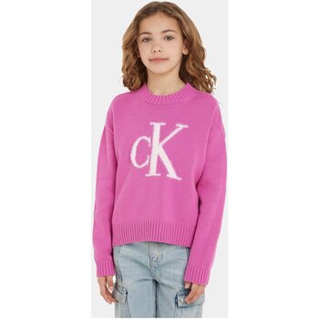vaatteet Lapset T-paidat & Poolot Calvin Klein Jeans IG0IG02220 Violetti