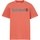 vaatteet Miehet Lyhythihainen t-paita Timberland 227446 Oranssi