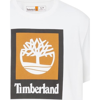 vaatteet Miehet Lyhythihainen t-paita Timberland 227475 Valkoinen