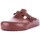 kengät Naiset Sandaalit Birkenstock 1027386 Musta