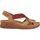kengät Naiset Sandaalit ja avokkaat Pikolinos W8k-0741 Ruskea