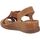 kengät Naiset Sandaalit ja avokkaat Pikolinos W8k-0741 Ruskea