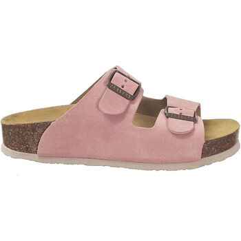 kengät Naiset Sandaalit Plakton Cp beta Vaaleanpunainen