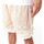 vaatteet Miehet Shortsit / Bermuda-shortsit New-Era World series mesh shorts aridia Beige