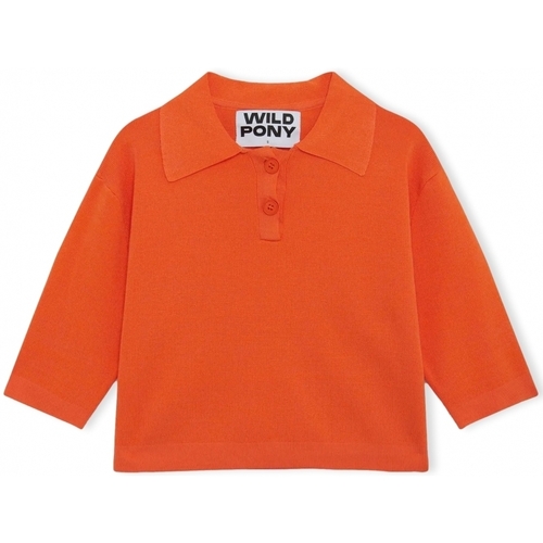 vaatteet Naiset Neulepusero Wild Pony Knit 10604 - Orange Oranssi
