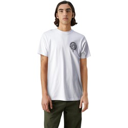 vaatteet Miehet Lyhythihainen t-paita Santa Cruz  Valkoinen