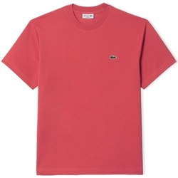vaatteet Miehet T-paidat & Poolot Lacoste Classic Fit T-Shirt - Rose ZV9 Vaaleanpunainen