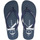 kengät Miehet Sandaalit Calvin Klein Jeans YM0YM00952 Sininen
