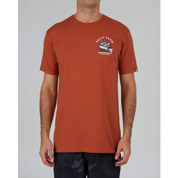 vaatteet Miehet T-paidat & Poolot Salty Crew Hot rod shark premium s/s tee Oranssi