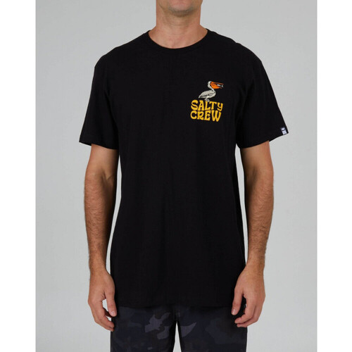 vaatteet Miehet T-paidat & Poolot Salty Crew Seaside standard s/s tee Musta