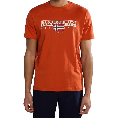 vaatteet Miehet Lyhythihainen t-paita Napapijri 236334 Oranssi