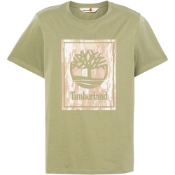 vaatteet Miehet Lyhythihainen t-paita Timberland 236610 Vihreä