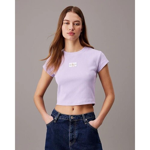 vaatteet Naiset Lyhythihainen t-paita Calvin Klein Jeans J20J223552VFR Violetti