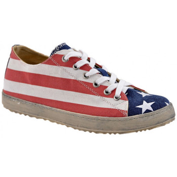 kengät Naiset Tennarit F. Milano USA Flag  Low Other
