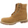 kengät Naiset Bootsit Timberland 6 In Premium Boot W Ruskea