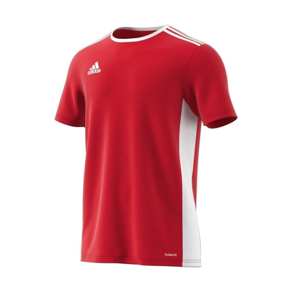 vaatteet Miehet Lyhythihainen t-paita adidas Originals Entrada 18 Valkoiset, Punainen